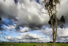 德转列西甲非皇萨球员最贵阵：阿尔瓦雷斯领衔，祖比门迪在列.