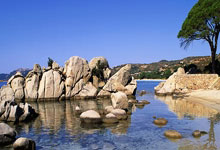 太阳灭热火6连胜 约基奇23+20+16掘金力克雷霆.